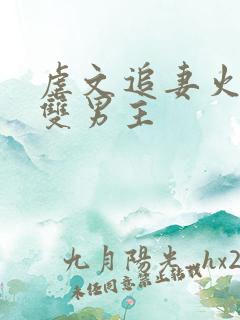 虐文追妻火葬场双男主