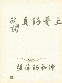 我真的爱上你歌词