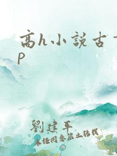 高h小说古言np