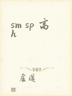 sm sp 高h
