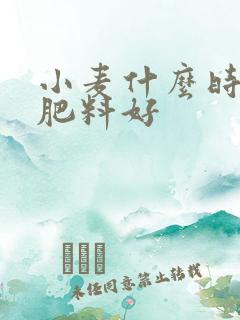 小麦什么时候撒肥料好