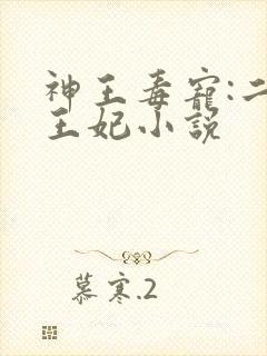 神王毒宠:二嫁王妃小说