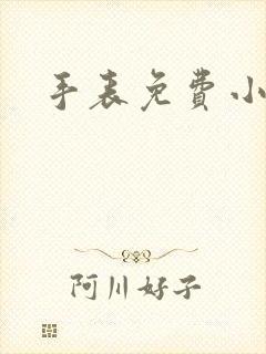 手表免费小说