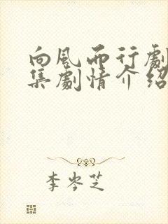 向风而行剧情分集剧情介绍