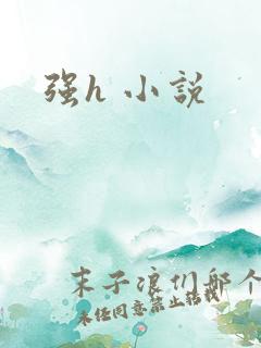 强h 小说