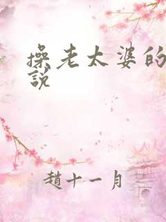 操老太婆的逼小说