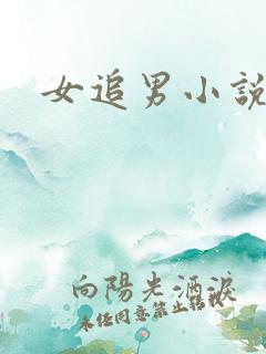女追男小说