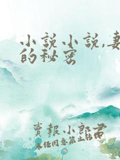 小说小说,妻子的秘密