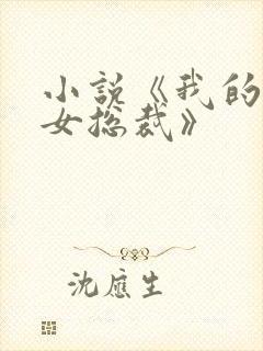 小说《我的高冷女总裁》