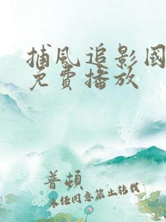 捕风追影国语版免费播放