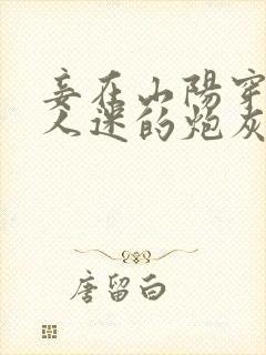 妾在山阳穿成万人迷的炮灰竹马