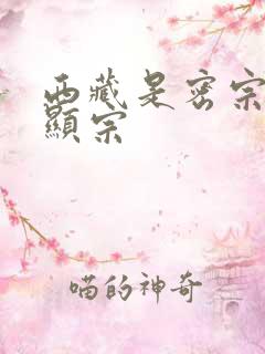 西藏是密宗还是显宗