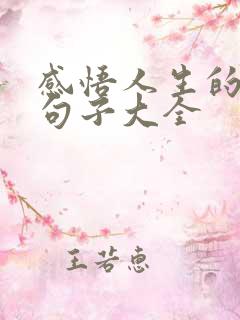 感悟人生的精辟句子大全
