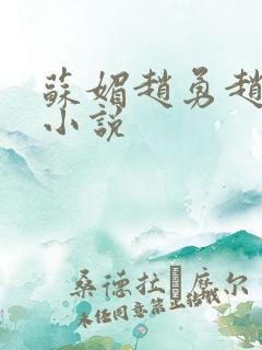 苏媚赵勇赵大宝小说