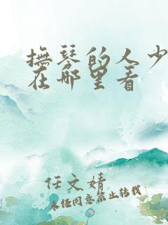 抚琴的人少年王在哪里看