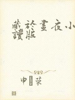 藏于昼夜小说阅读版
