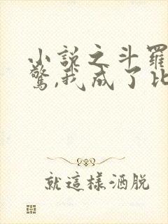 小说之斗罗:震惊,我成了比比东 小说之斗罗:震惊,我成了比比东