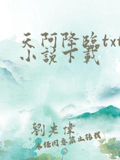 天阿降临txt小说下载