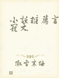 小说推荐言情甜宠文
