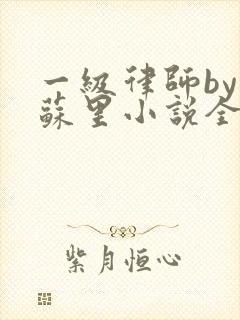 一级律师by木苏里小说全文免费阅读