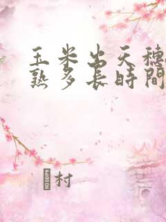 玉米出天穗到成熟多长时间