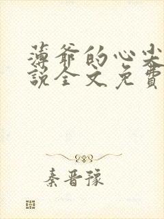 薄爷的心尖宠小说全文免费阅读