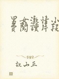 男女激情小说免费阅读片段合集
