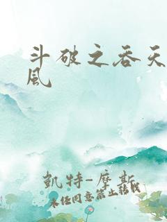 斗破之吞天决萧风