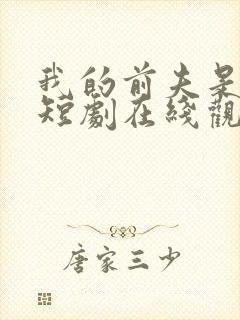 我的前夫是神医短剧在线观看