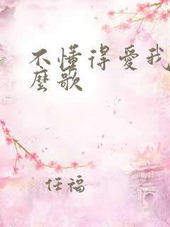 不懂得爱我是什么歌