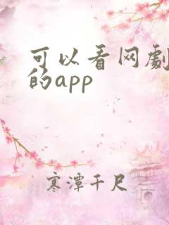 可以看网剧短剧的app