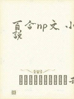 百合np文 小说