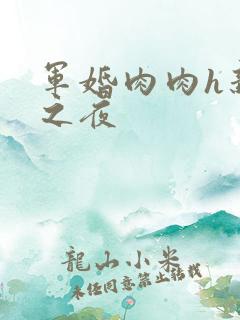 军婚肉肉h新婚之夜