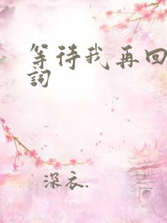 等待我再回来歌词