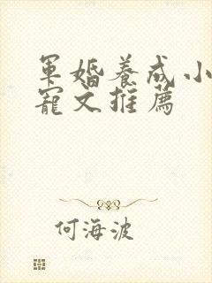 军婚养成小说甜宠文推荐