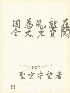 因为风就在那里全文免费阅读无弹窗