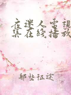 夜迷人电视剧全集在线播放免费观看