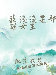 苏浅浅是哪部小说女主