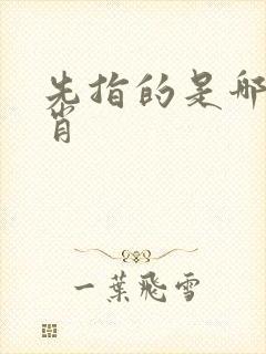 先指的是哪个生肖