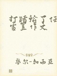 打赌输了任对方处置作文