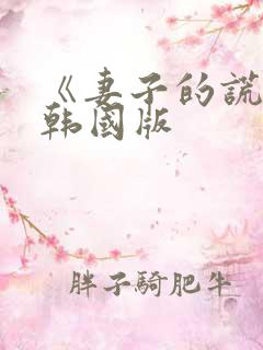 《妻子的谎言》韩国版