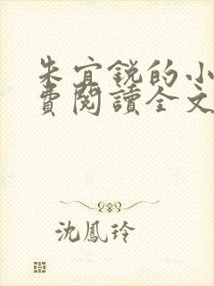 朱宜锐的小说免费阅读全文
