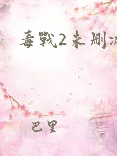 毒战2未删减版