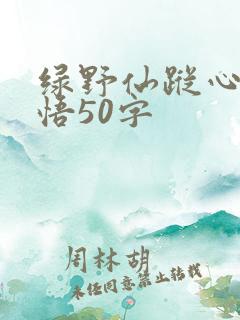 绿野仙踪心得感悟50字