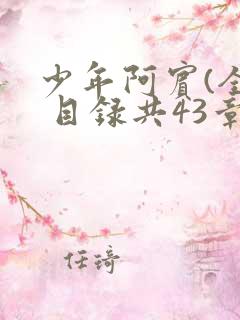 少年阿宾(全) 目录共43章 少年阿宾(全) 目录共43章