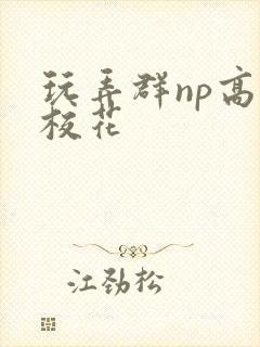 玩弄群np高h校花