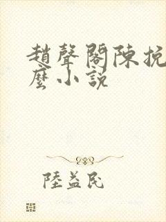赵声阁陈挽是什么小说