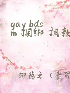 gay bdsm 捆绑 调教 男奴