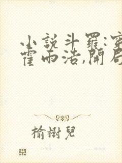 小说斗罗:穿越霍雨浩,开局拜师药老大结局