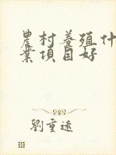 农村养殖什么创业项目好